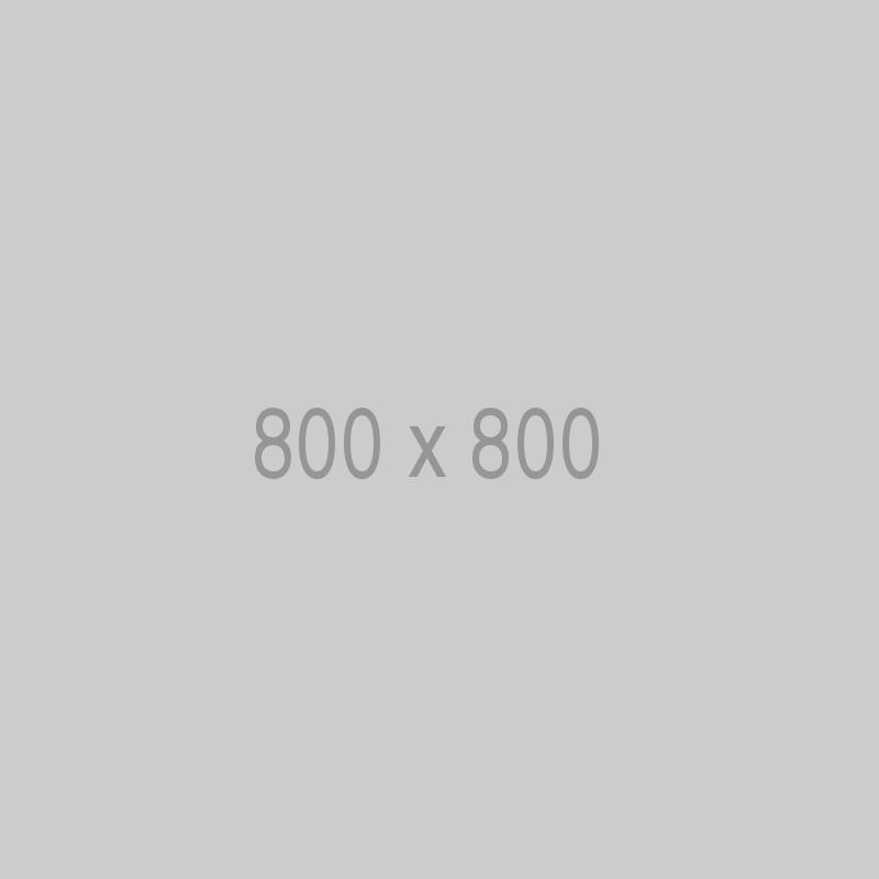 litho-800x800-ph.jpg